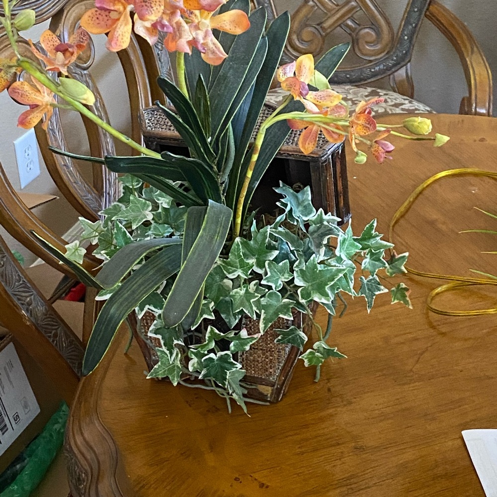 Fake Plant